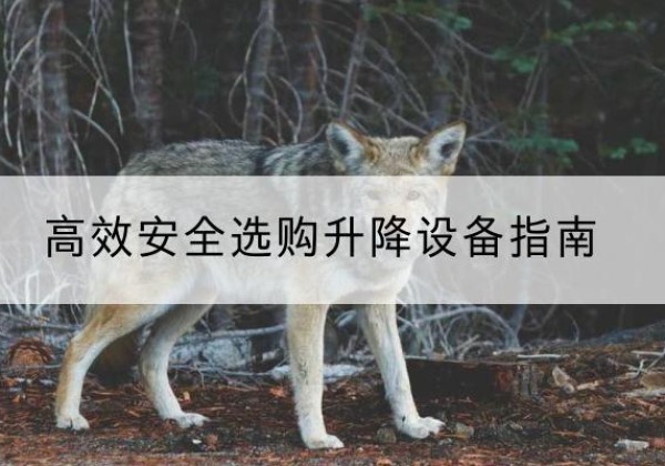 柳林升降货梯厂家推荐-*安全选购升降设备指南