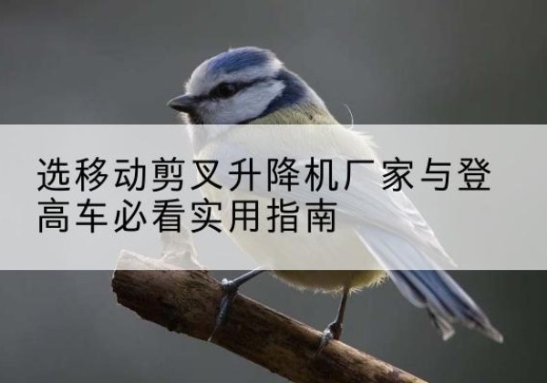柳林电动升降机厂家-选移动剪叉升降机厂家与登高车必看实用指南