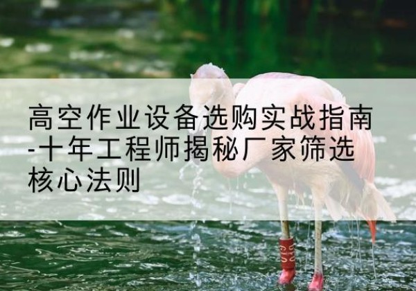 柳林剪叉式升降机厂家-高空作业设备选购实战指南-十年工程师揭秘厂家筛选核心法则